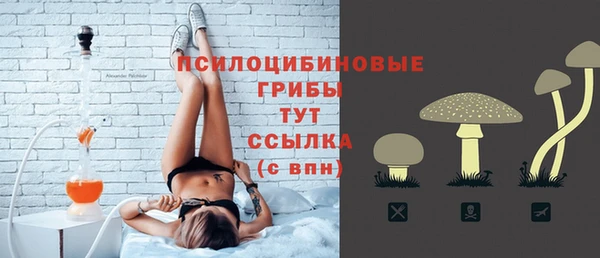 стаф Кинешма