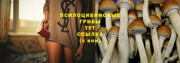 стаф Кинешма
