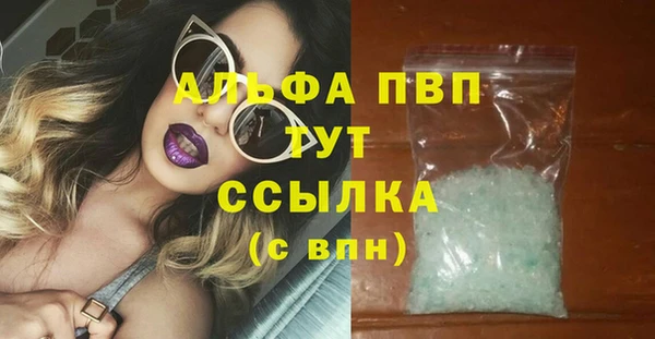 стаф Кинешма
